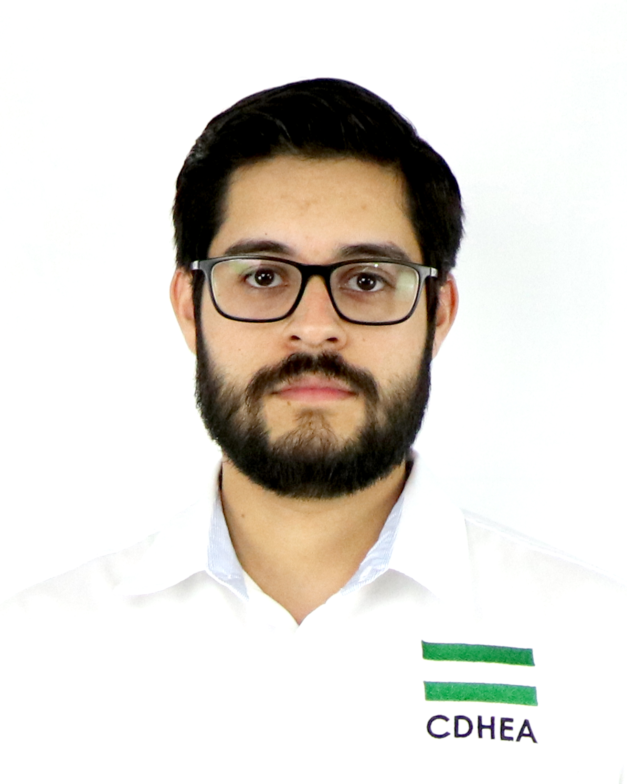 Profesional Investigador